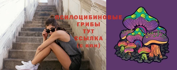 МДПВ Алзамай