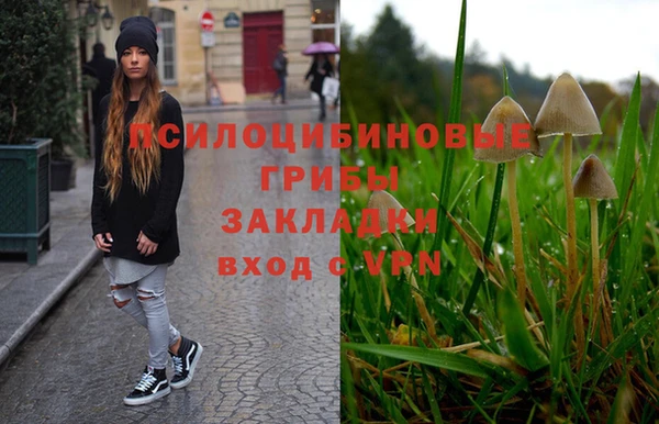 экстази Алексеевка