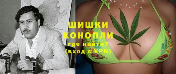 МДПВ Алзамай